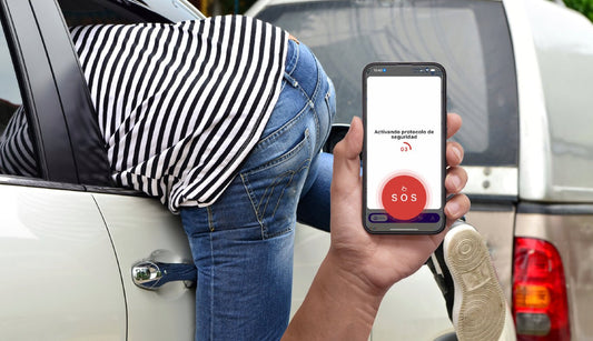 Importancia de la tecnología para combatir los robos de autos - WiseCity Chile